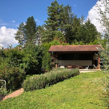Maison/Gite Familial Dans Le Jura A 200M Du Lac Avec Piscine Privee Marigny  Exterior photo