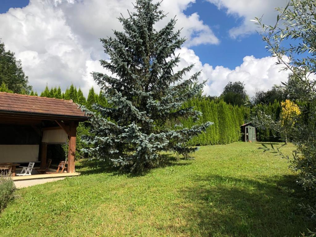 Maison/Gite Familial Dans Le Jura A 200M Du Lac Avec Piscine Privee Marigny  Exterior photo
