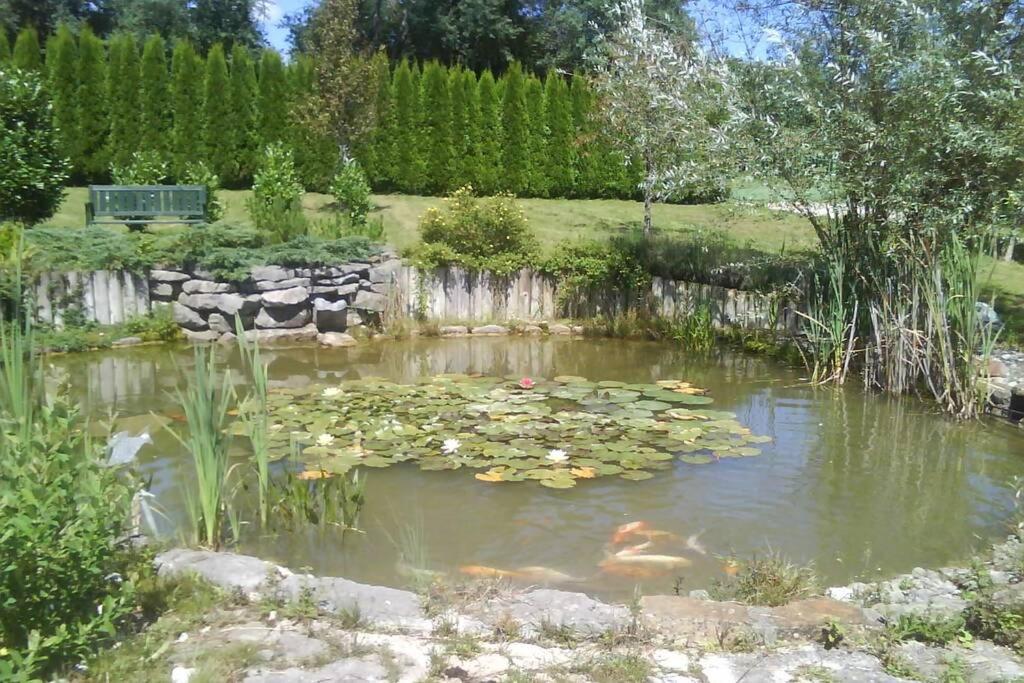 Maison/Gite Familial Dans Le Jura A 200M Du Lac Avec Piscine Privee Marigny  Exterior photo