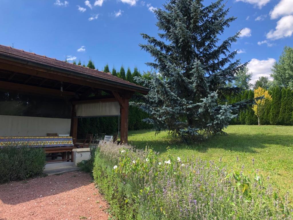Maison/Gite Familial Dans Le Jura A 200M Du Lac Avec Piscine Privee Marigny  Exterior photo