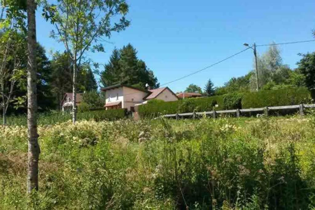 Maison/Gite Familial Dans Le Jura A 200M Du Lac Avec Piscine Privee Marigny  Exterior photo