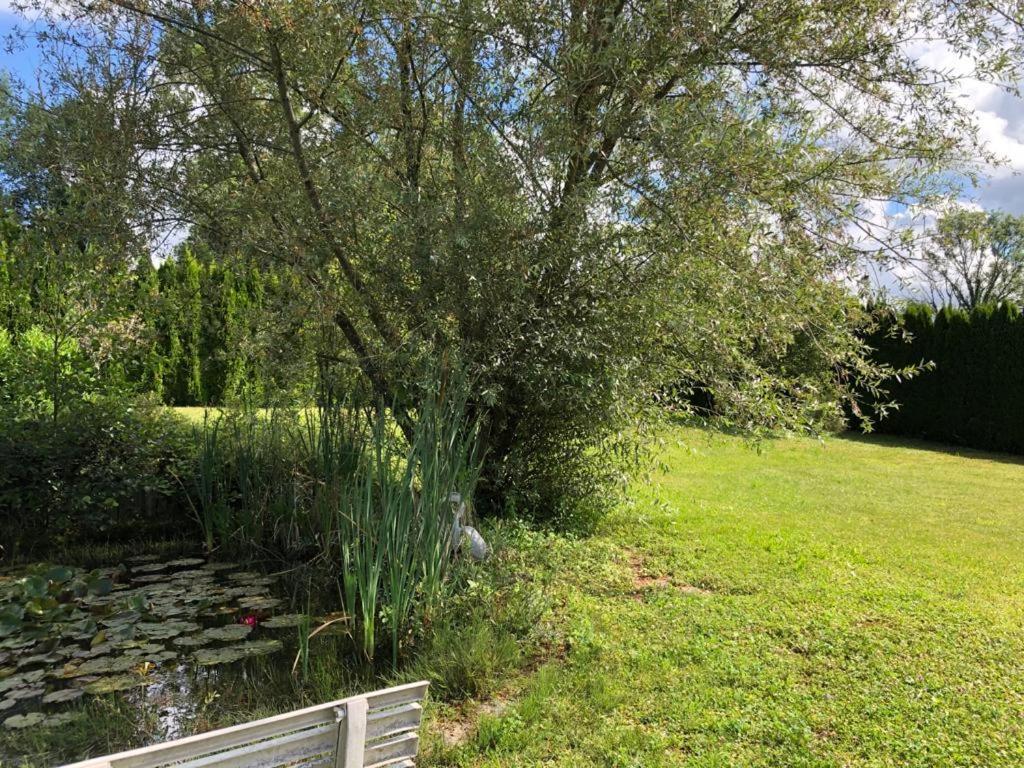 Maison/Gite Familial Dans Le Jura A 200M Du Lac Avec Piscine Privee Marigny  Exterior photo