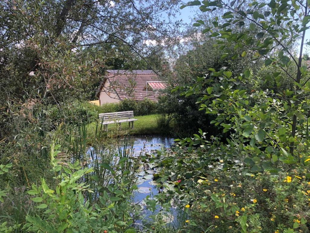 Maison/Gite Familial Dans Le Jura A 200M Du Lac Avec Piscine Privee Marigny  Exterior photo